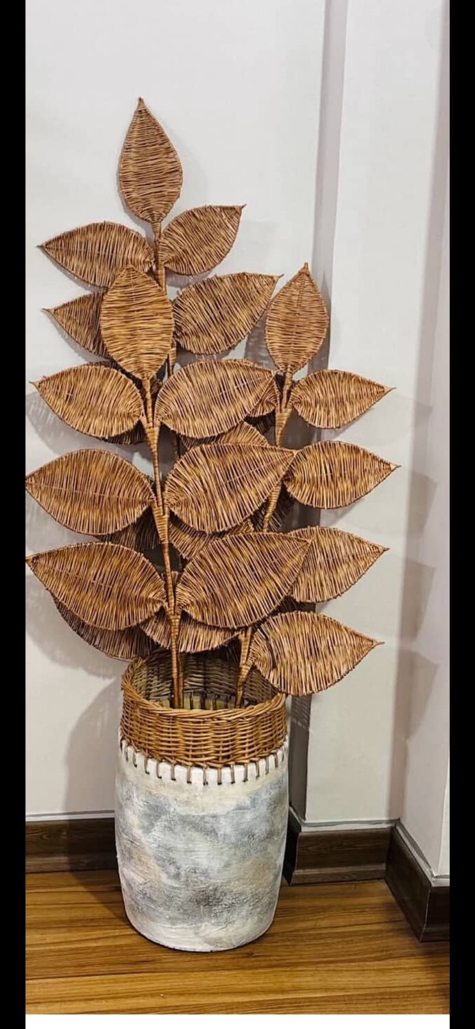 شاخه های حصیری